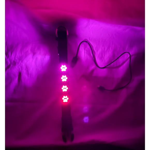 !!! HOST PICK🥳🤩 🌸✨NWT Night Scout Small Blue Rechargable Dog Collar - Picture 11 of 11